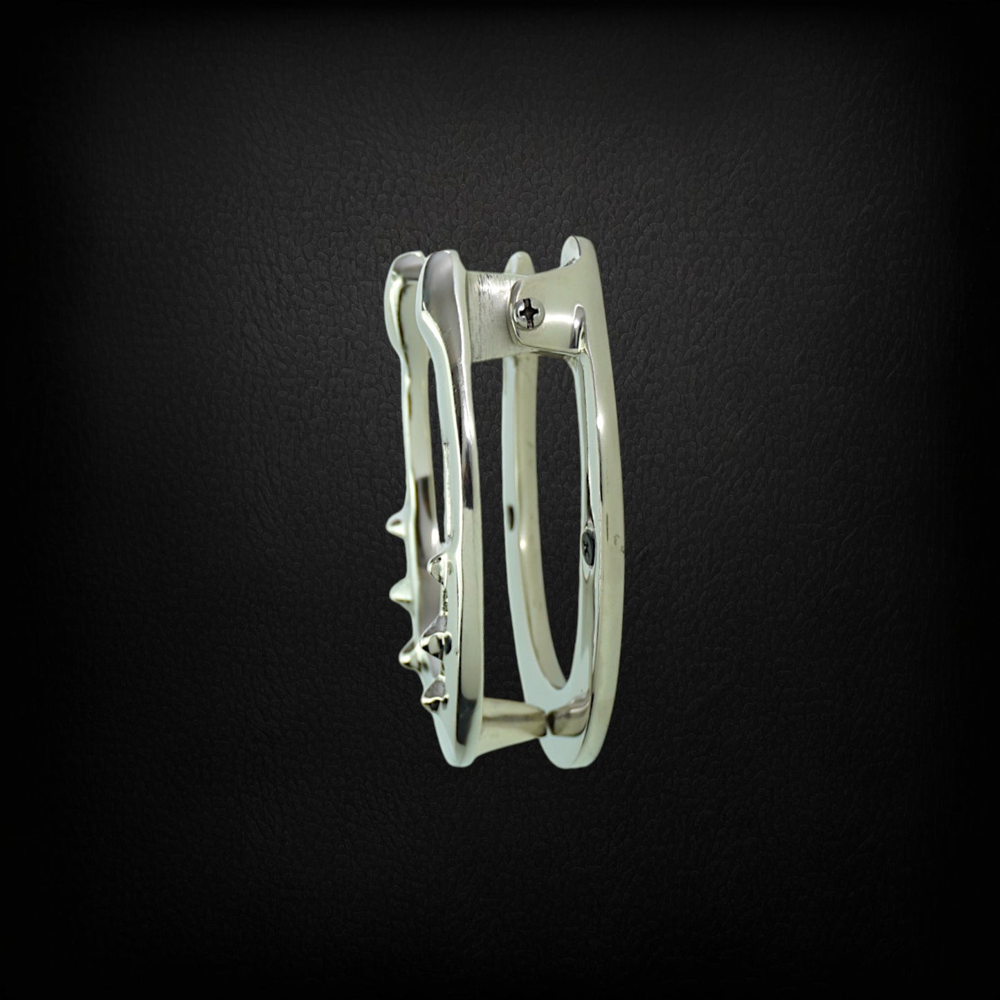 Horse Shoe Door Knocker