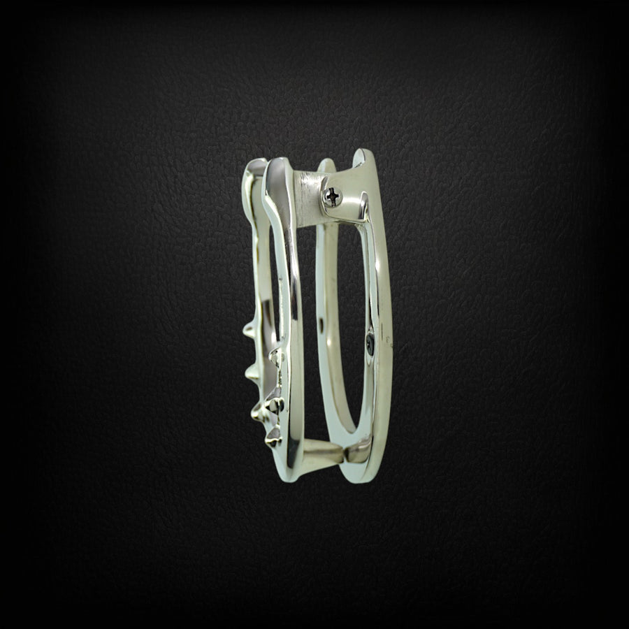 Horse Shoe Door Knocker