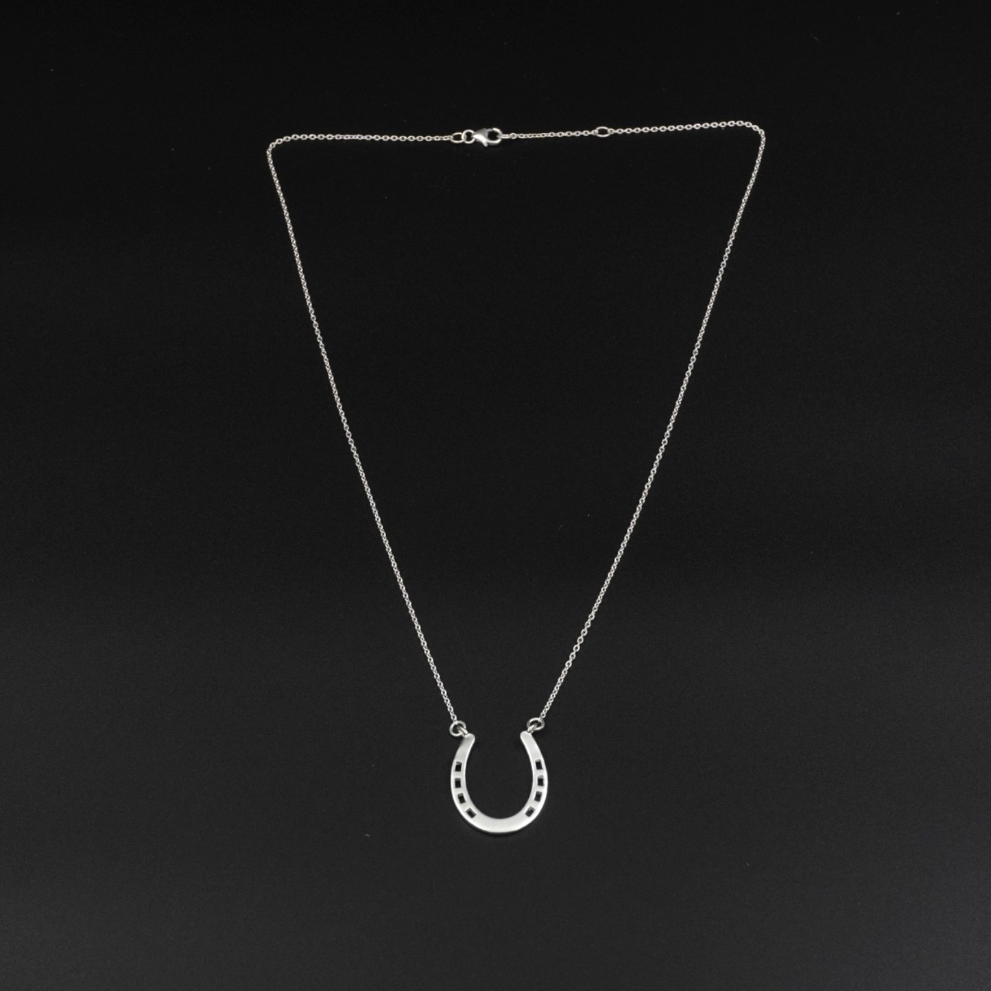 Silver Plated Brass Horseshoe Necklace - 16 Inch Chain | Equestrian Jewelry & Good Luck Charm