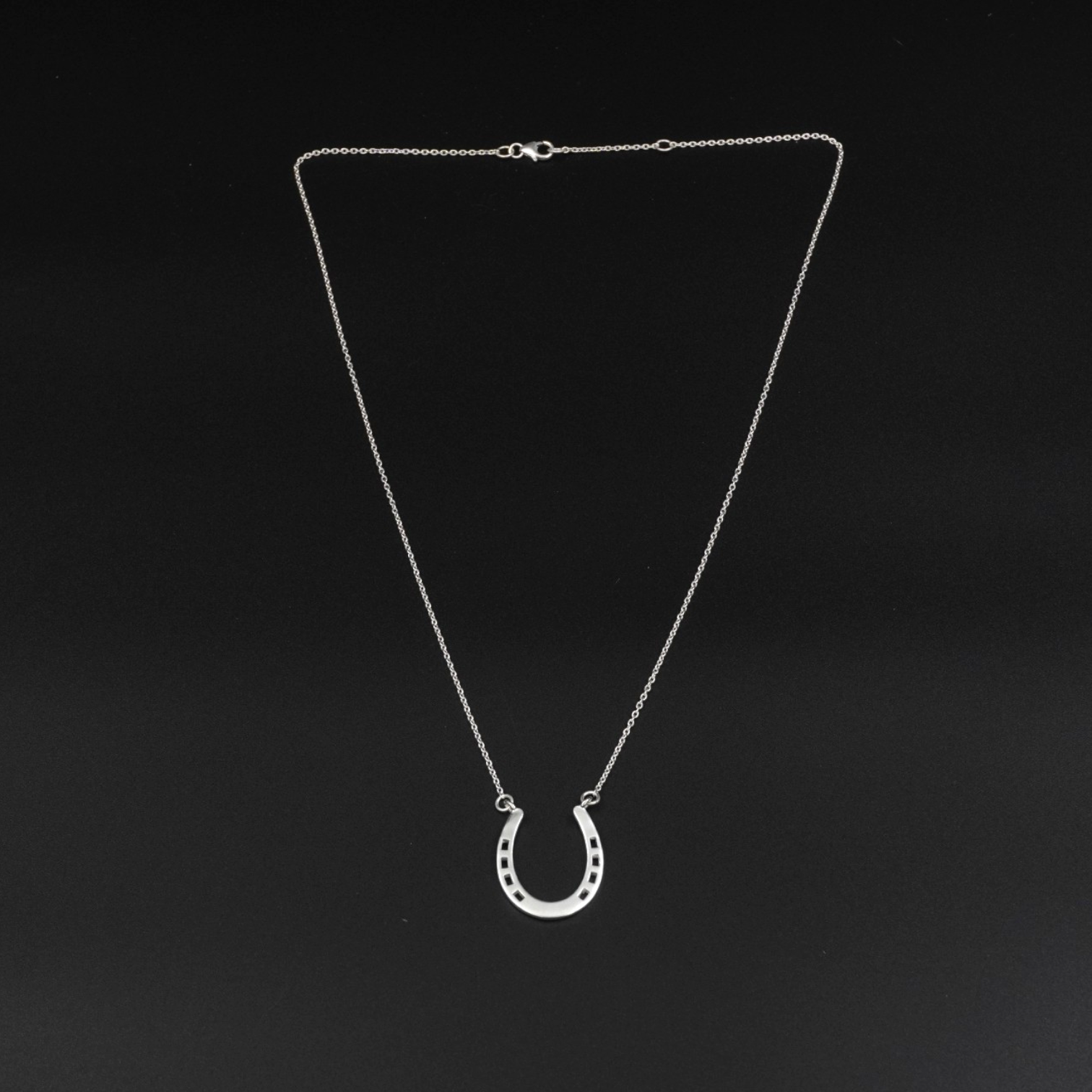 Silver Plated Brass Horseshoe Necklace - 16 Inch Chain | Equestrian Jewelry & Good Luck Charm
