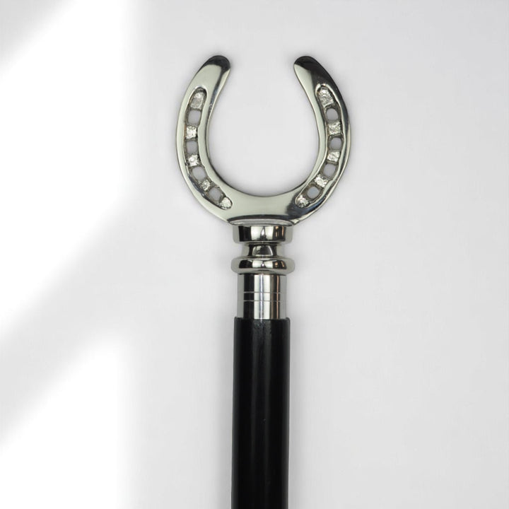 Walking Stick
