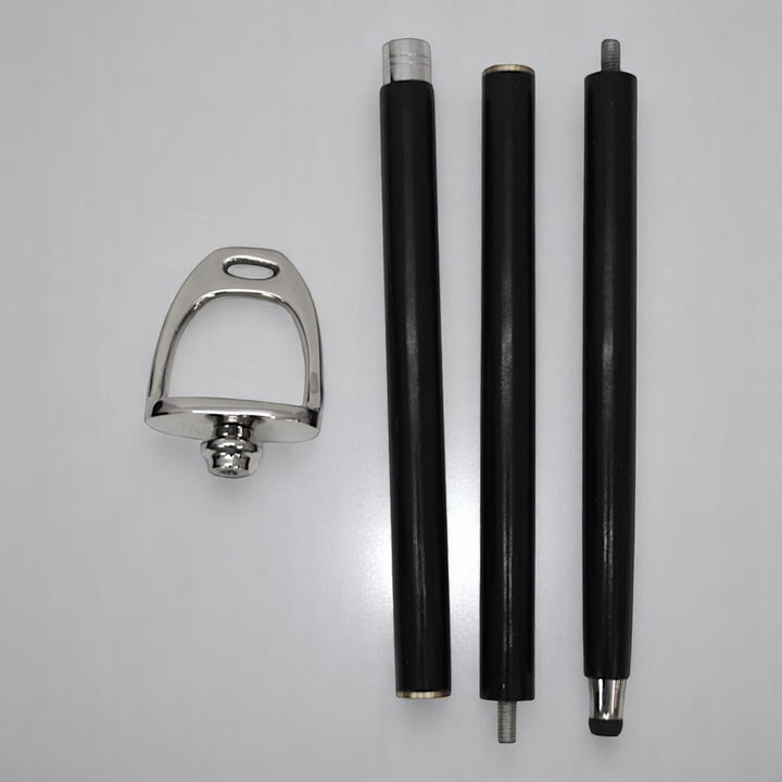 Walking Stick