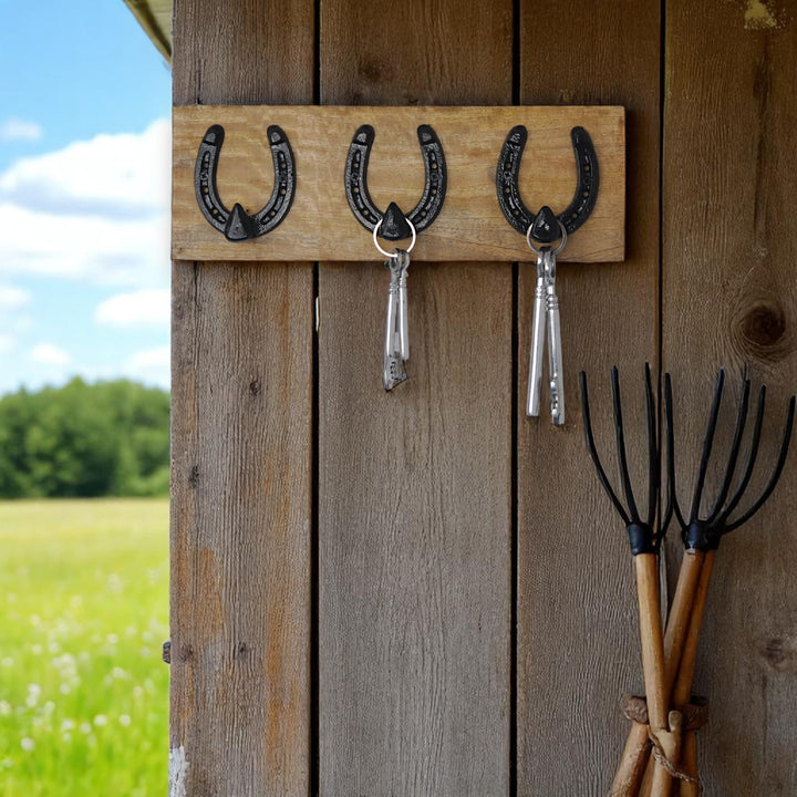 Wall Hooks with Black Finish