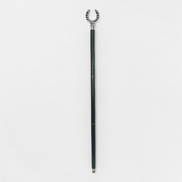 Walking Sticks